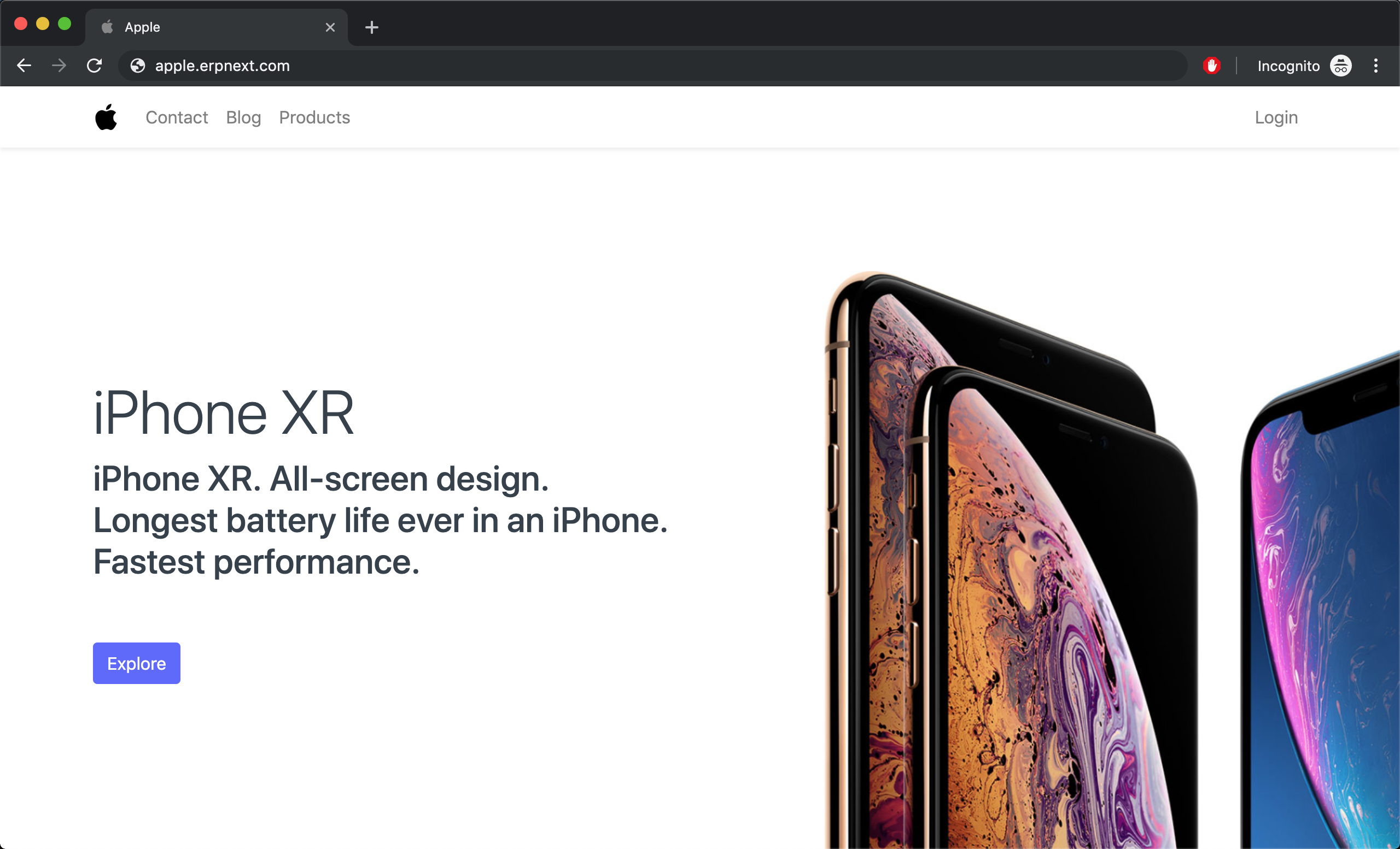 Sito web con Brand e Favicon